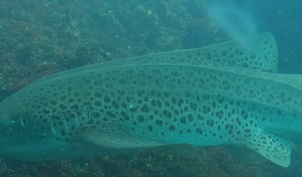 f0c4e632-4235-463a-8b6a-cdf61c20de40