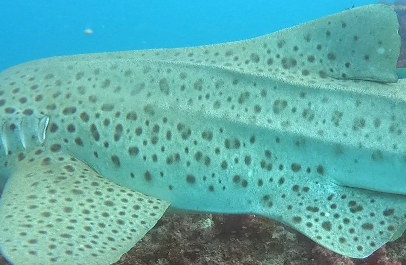 f2be489a-a27e-44ca-aaa8-addc2f7a79ab