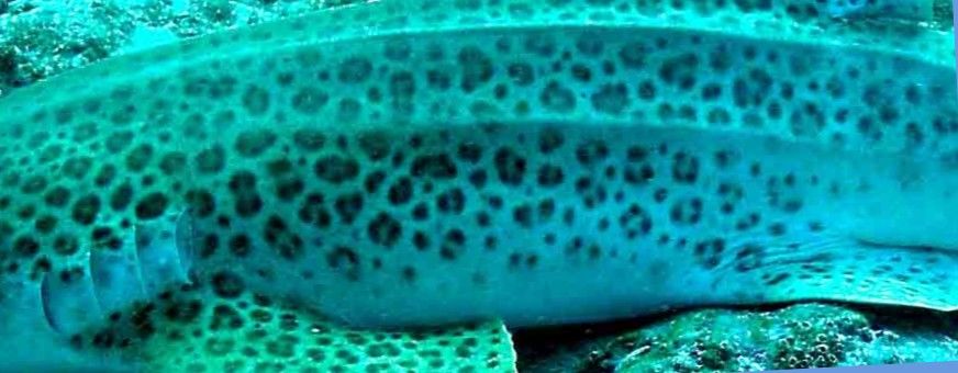 1d2abdf5-5665-428e-b9e3-863ff160e25e