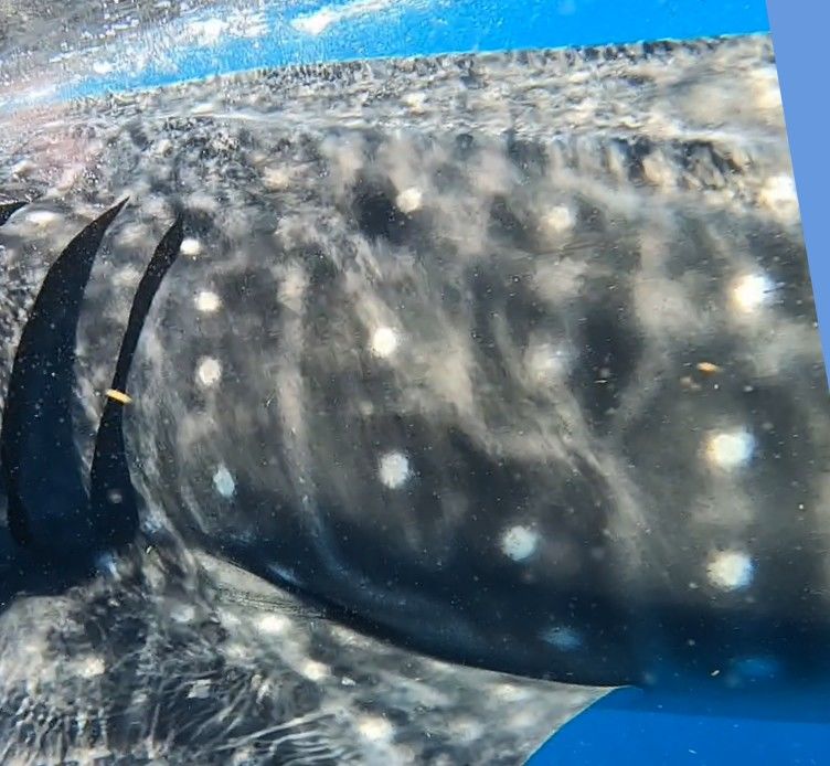 b46eea2b-cae5-4921-9a89-79e6cded1af3