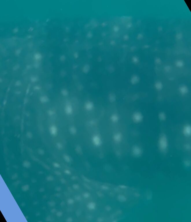 1cacf088-755f-4aac-9457-8215b6781468