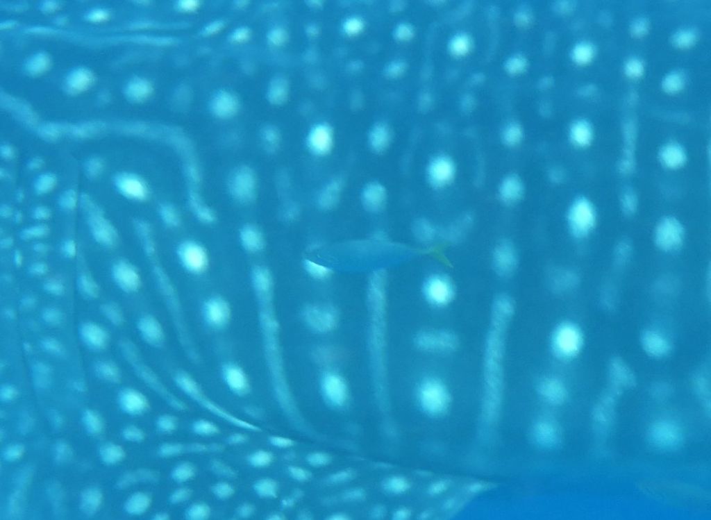 3c0b5de6-d357-4887-9fb2-29d675612b58