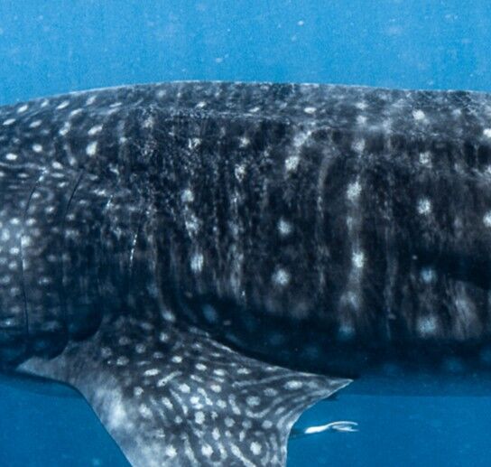 761dd40f-64cb-41db-945d-521ac1f202f7