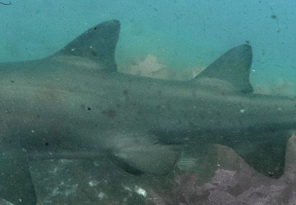 8e9d659c-4190-4481-a24a-5f6e8cfae6bc