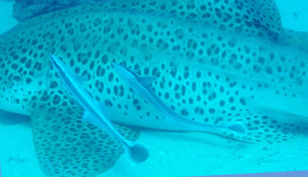 58dd8f62-c4bb-4e99-bc22-3cf532731f0b