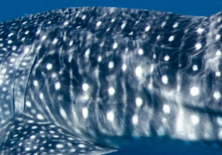 45b2b0ae-5b2a-43db-98c2-18680686c63c