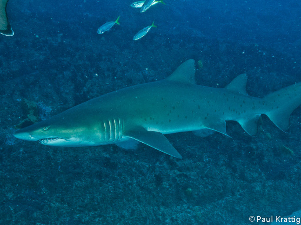 5b9526f2-69bc-43ad-bbb1-f7457f61b5fa