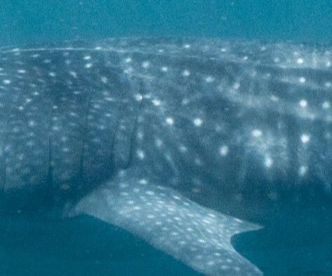 0bed9b6a-0ef1-4bf9-9170-0fee1dfab602