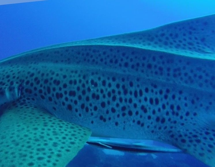 7544e871-1b7b-4384-81cb-da1eb2c56e54