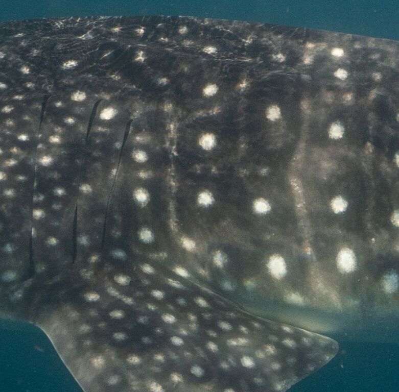 5a70d015-a2ac-4576-b348-fe1d0077b53a