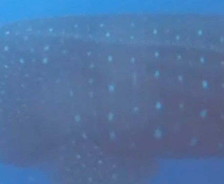 13d2403d-0f3d-4d85-a9f1-547d7962b915