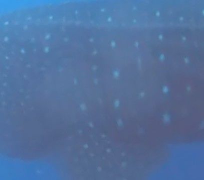 13d2403d-0f3d-4d85-a9f1-547d7962b915