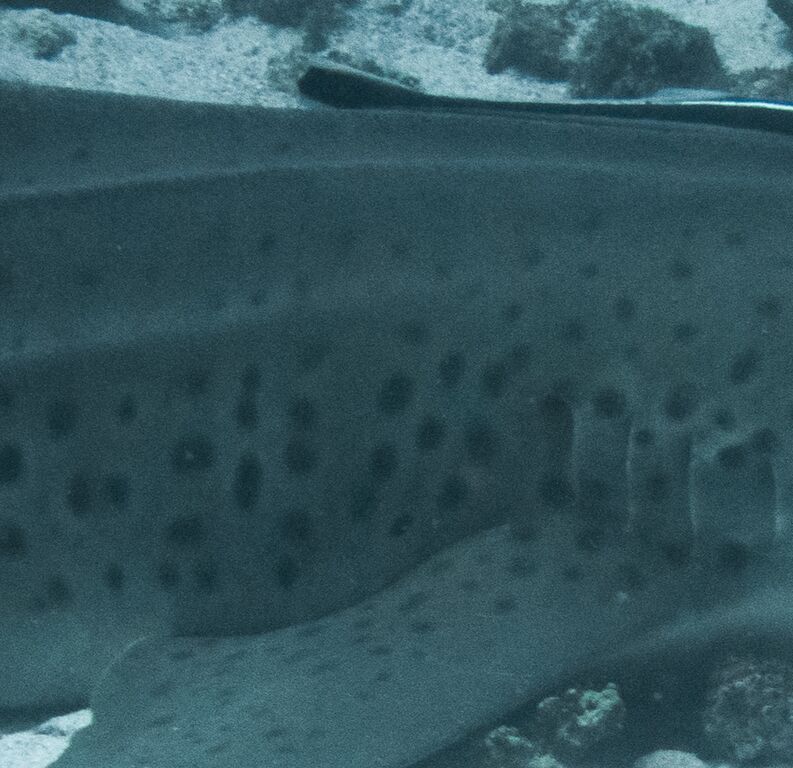 543f83c9-f2ca-4502-88e6-83c90862e6ad