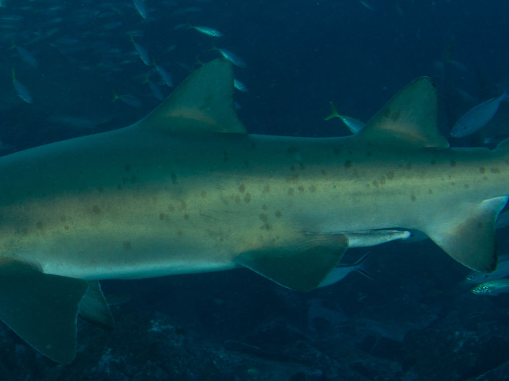 368fb16b-9745-4a0a-8662-8d3c0e283049