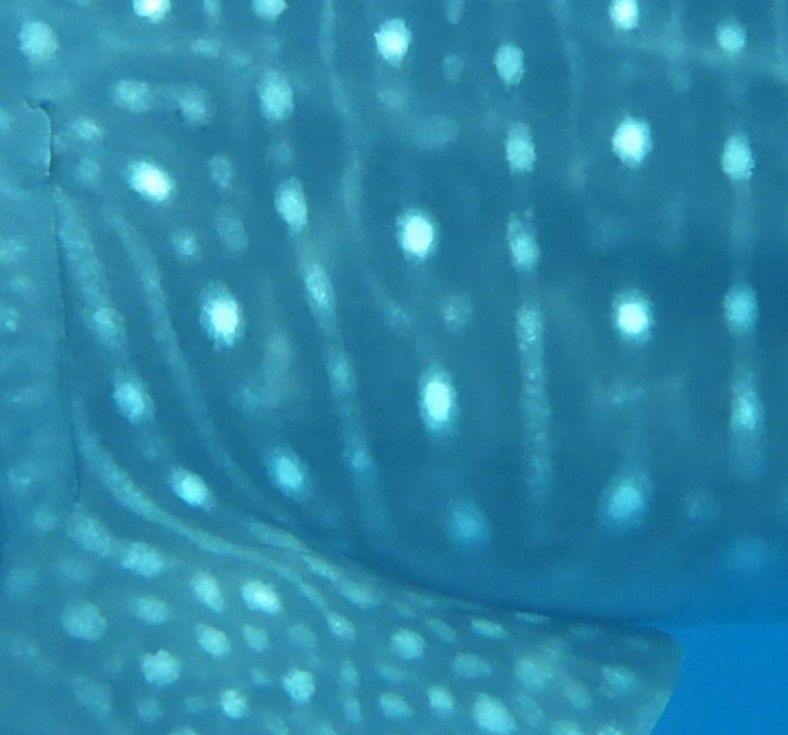 f5372a4f-7d98-47ec-9128-b8eca8550d0a