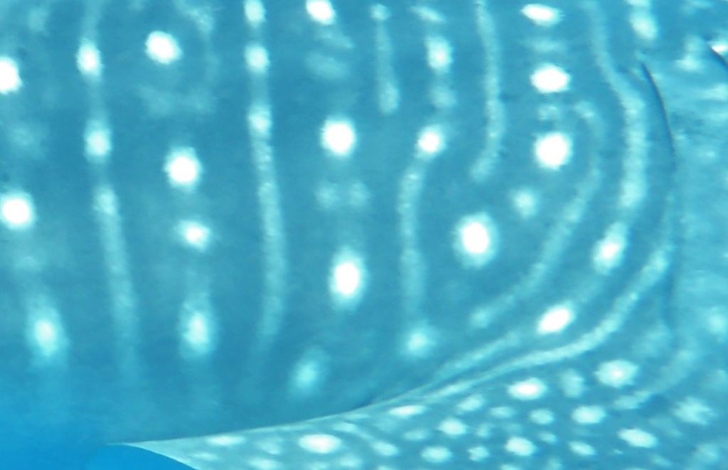 f5372a4f-7d98-47ec-9128-b8eca8550d0a