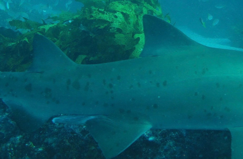 185ba8c4-88d3-416b-9648-81876c3a6bb7