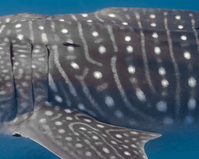 e65aeb3f-6582-4292-acc0-a4c36bb42e6c