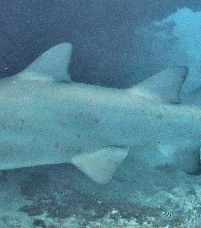 42473f04-c593-427c-adf9-396a4abb4089