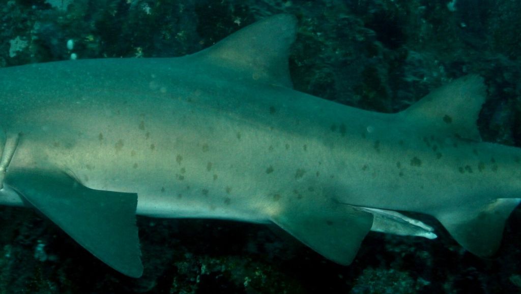 b8103dad-2311-45dc-bf44-7eda27bce3e4