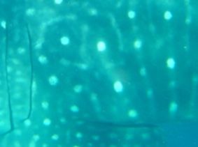 2bc62f05-65a5-47aa-9ab2-bf9bc7fec659