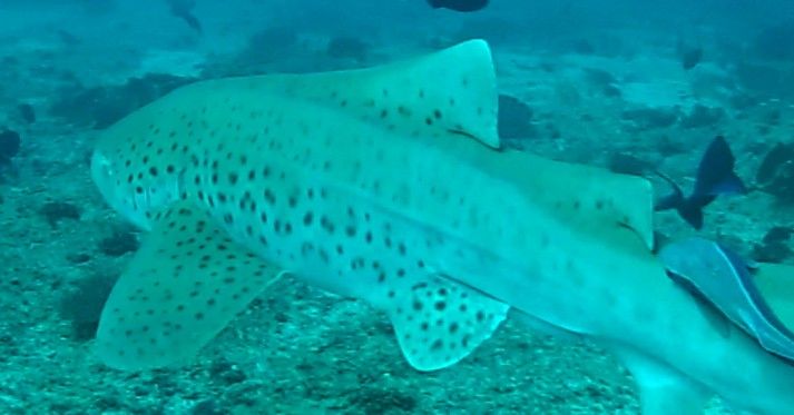 543f83c9-f2ca-4502-88e6-83c90862e6ad