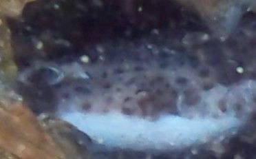 0313b90d-d1ef-46a2-8aca-804cb8fd5d96