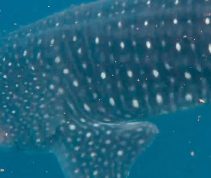 dac4260f-b10e-452c-981a-2e4e153906c7