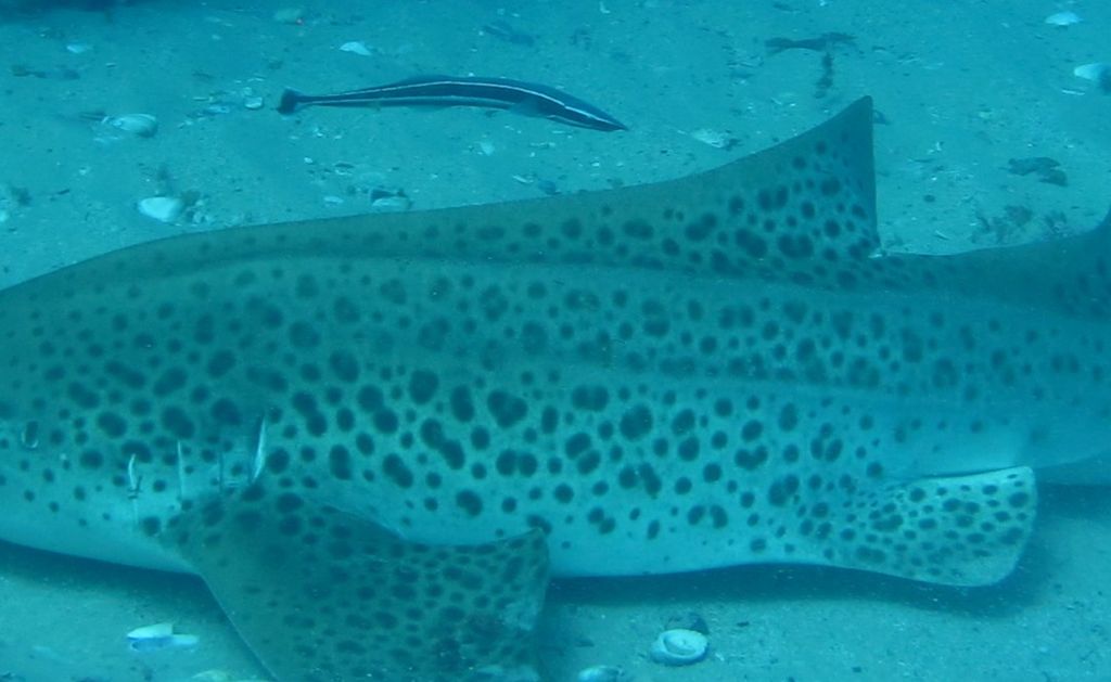 3bd27018-bc34-4219-85b8-7f31fae8570b