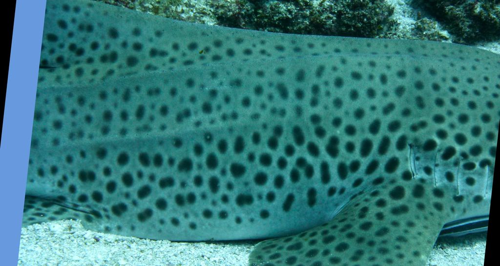 db921c29-7a44-4bcf-bb9d-d14dcf6e4e8f