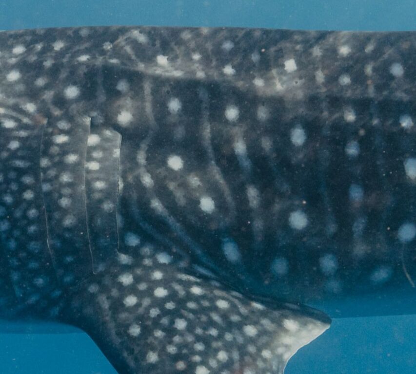 599936ef-fc4e-4626-847a-81326bde1665