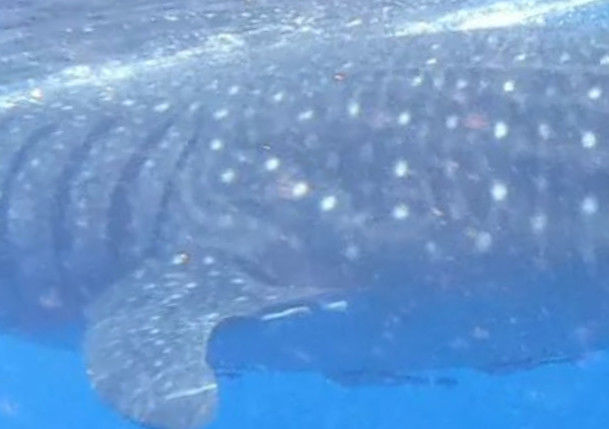 db065107-67e2-43f6-bb29-43f5e892326f