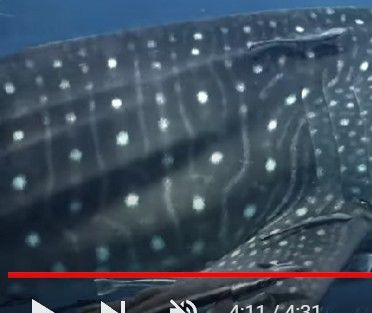 76747458-492c-422f-9cc8-f99a33985b10