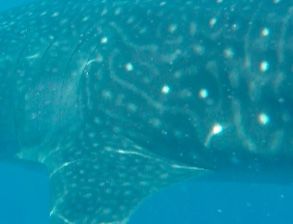 b25ddc32-adf6-4f1b-b8a0-24b9b00a1f12