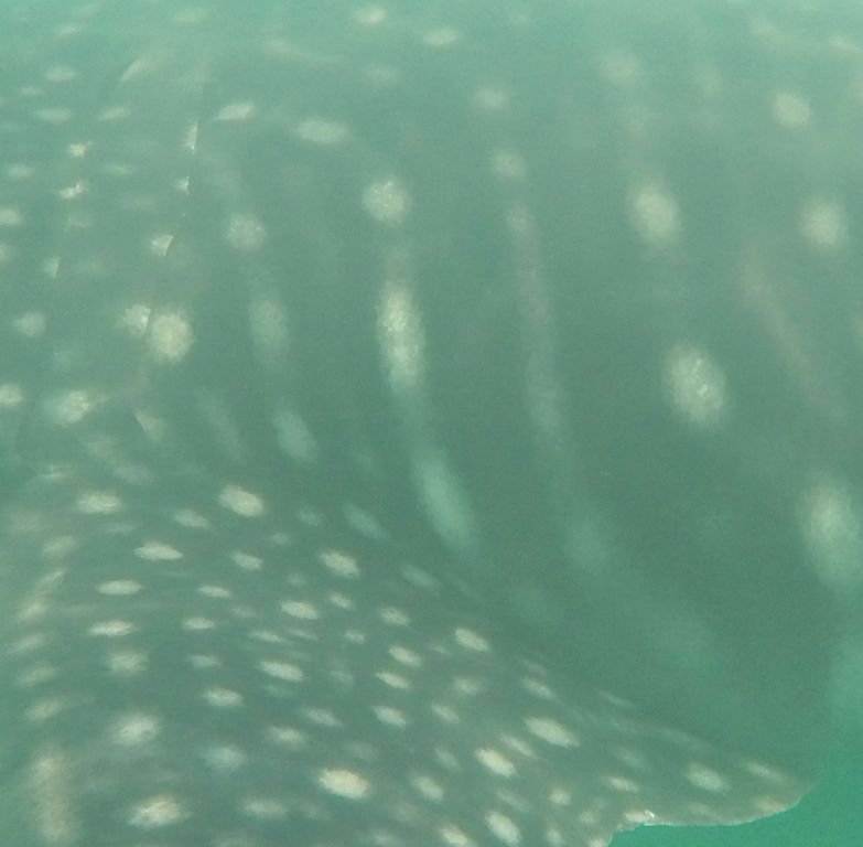 ab1802fd-c777-49e2-87c0-6f7e23361752