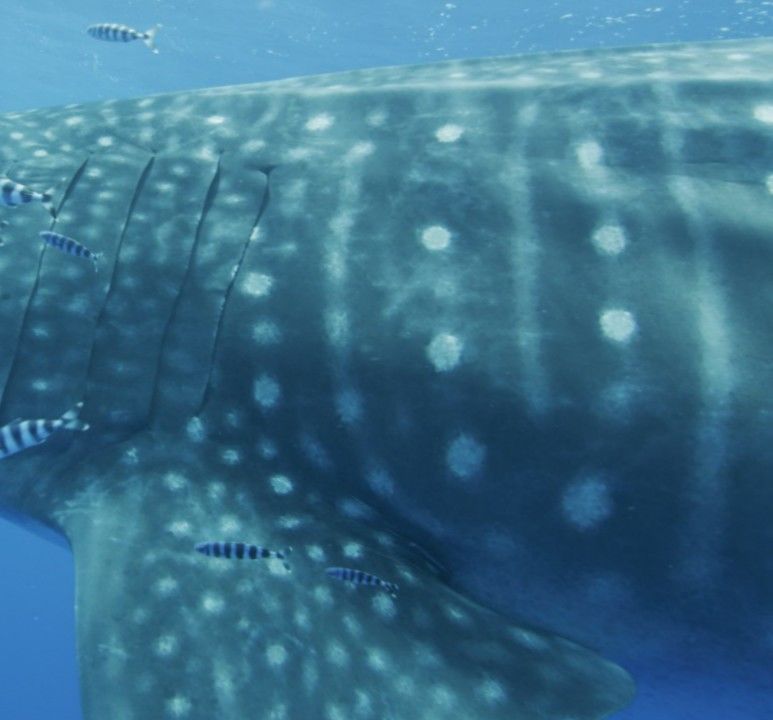 57c36786-8115-458e-bda1-eae461b0e3fe