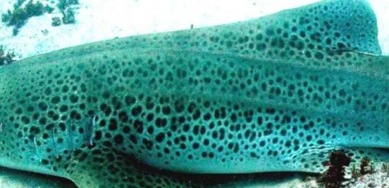 50439826-715d-421f-9b9b-5c25925abba9