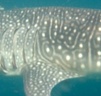 e66db617-bbb1-4c97-8585-0703fa849a71