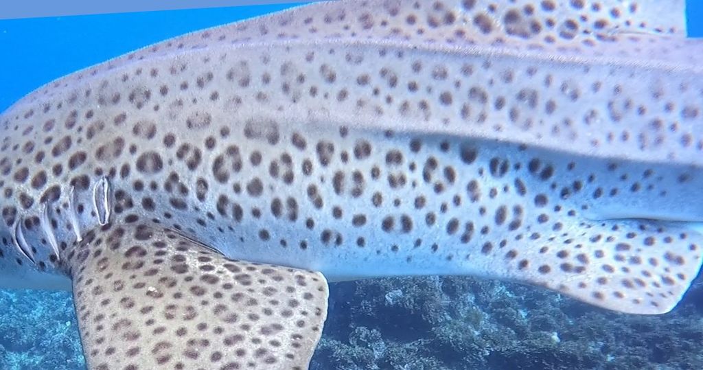 0d820d57-b88f-417d-851f-89fdb598a30c