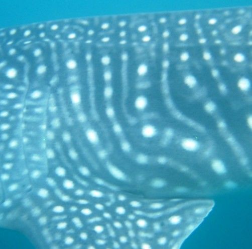 6bf69d31-82fb-484d-b5c9-6b45c6b61988