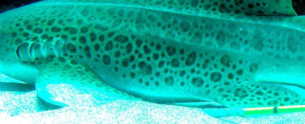 946365b9-6ac3-4f9e-b8c1-9966b3416ddc