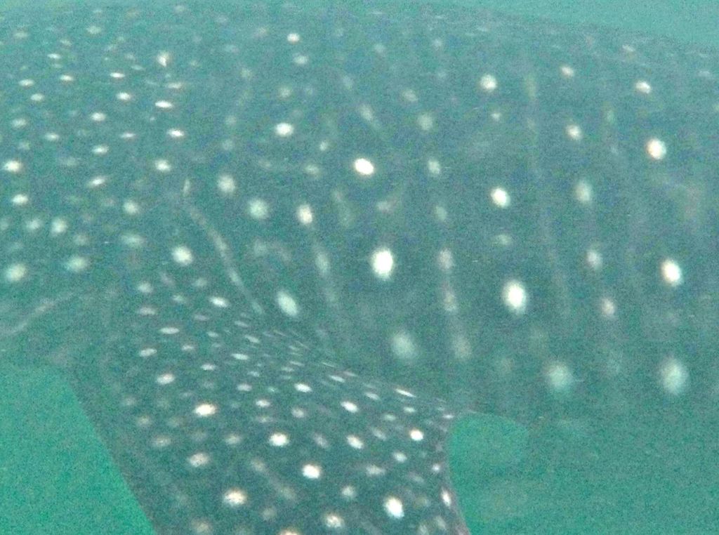 1fc627ad-4eb4-4dfb-8549-3f4bb2cdc8e5