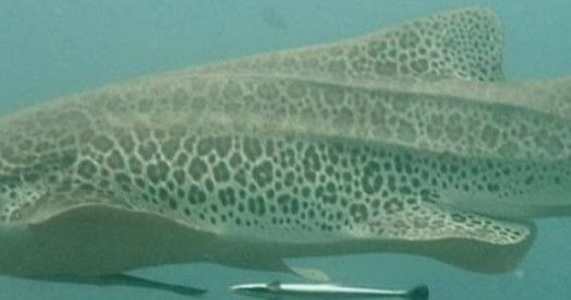 5500727a-ada7-465c-bc05-ab50284d1f71