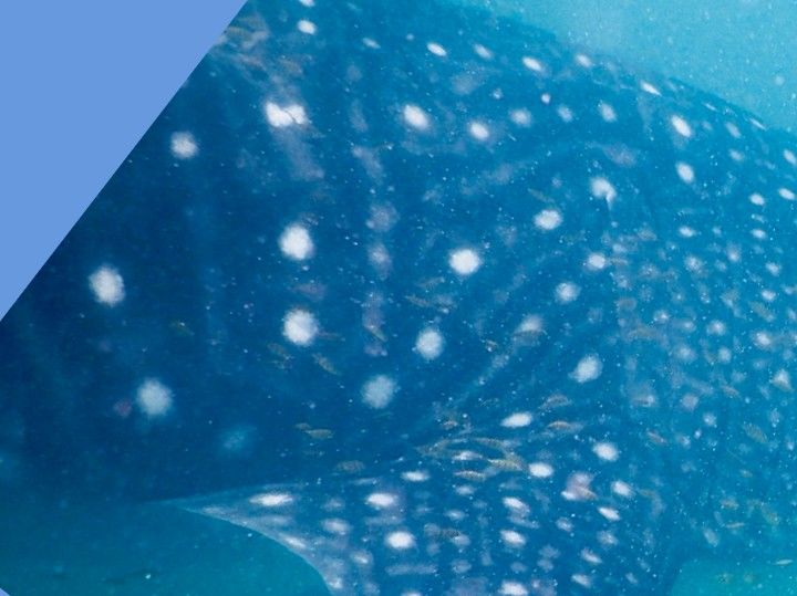 ee75fa40-b4fc-4947-8e72-4f06c371f837