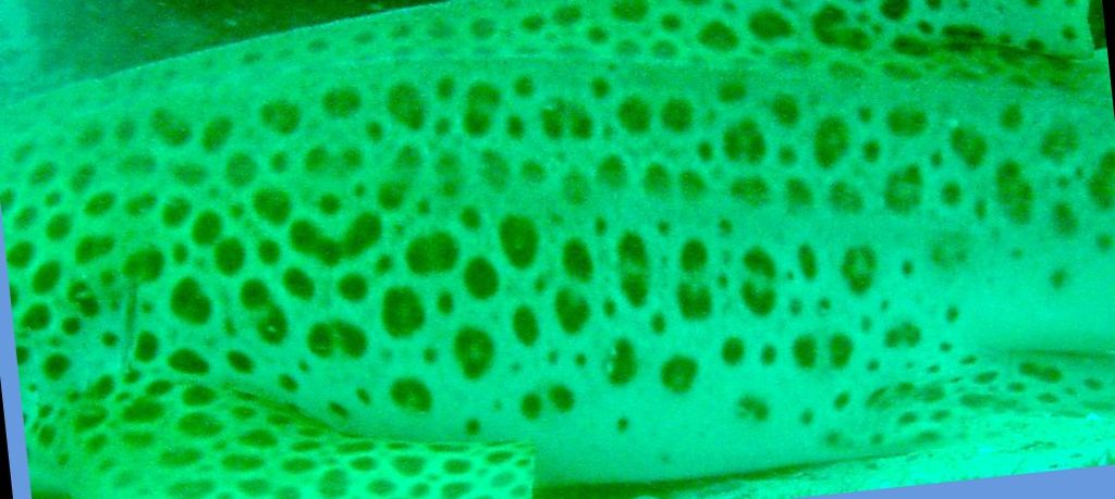 d4c6e4dd-2452-421c-9424-46fc9de4a1a7