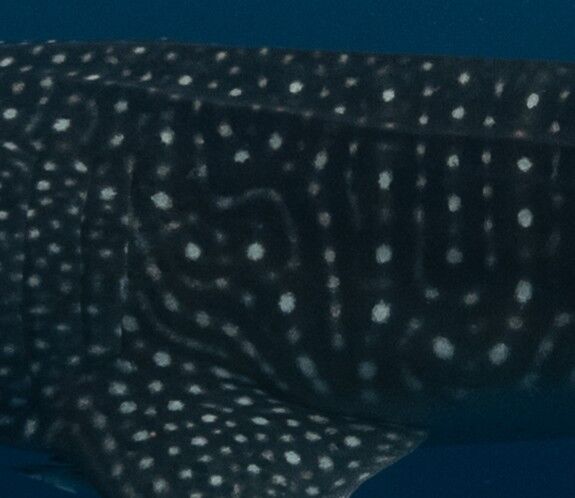 904b8bce-5c7d-42d8-8473-a97f601c1cbd