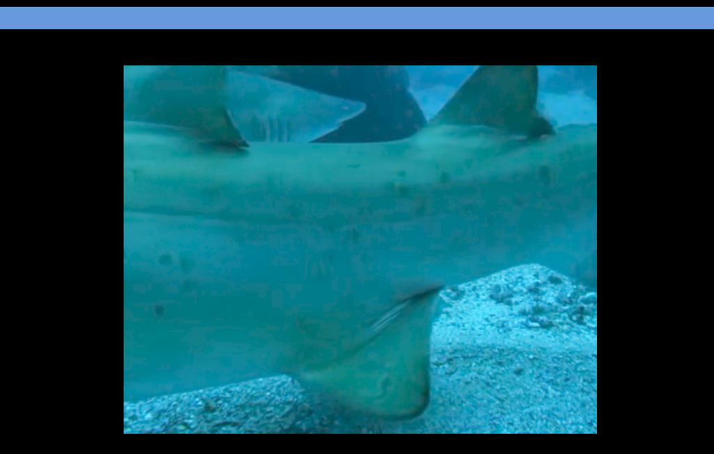 f868830d-b206-4372-bf16-4df19c5c4412