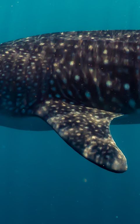 3065d701-57ae-40e1-99a0-5eec553eedc9