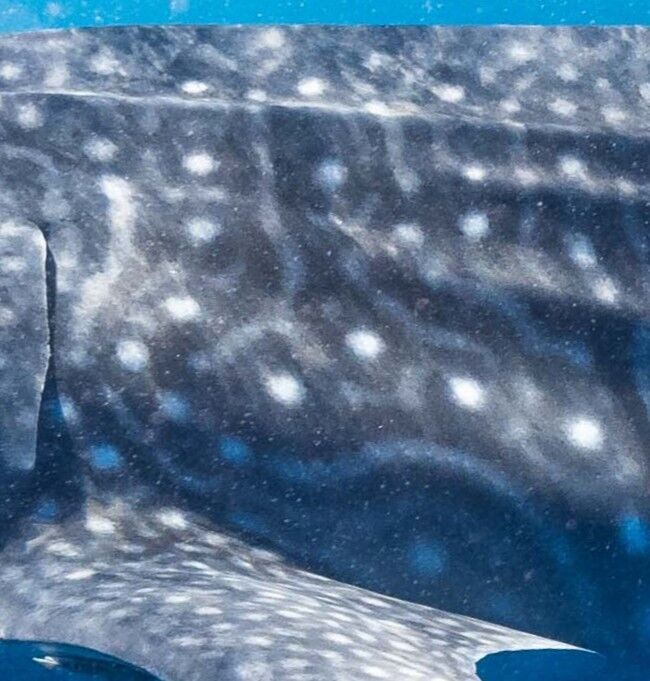 692ade84-2ddd-4e5e-9502-cd73d72e1140