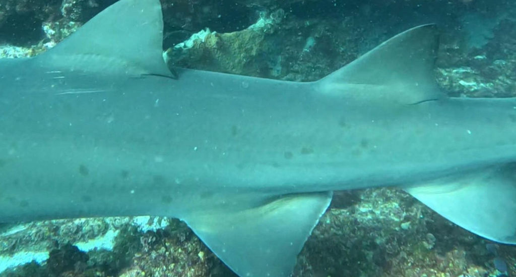 6f1c8c46-f5d7-4f4d-806f-c7bb89feb3bf